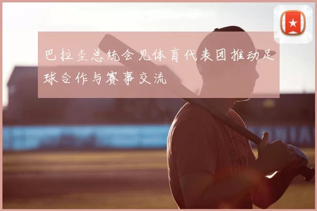 巴拉圭总统会见体育代表团推动足球合作与赛事交流