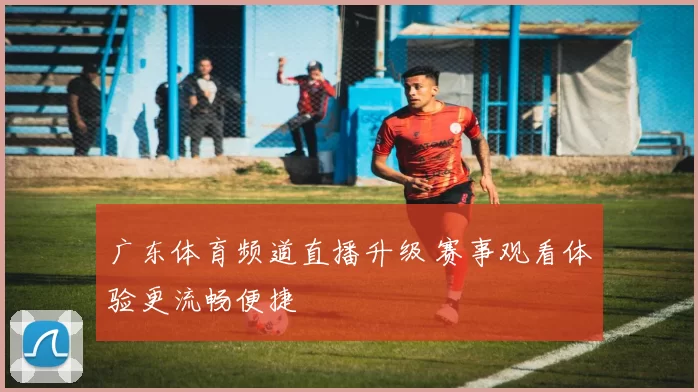 广东体育频道直播升级 赛事观看体验更流畅便捷