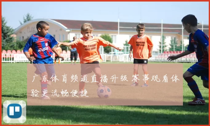 广东体育频道直播升级 赛事观看体验更流畅便捷