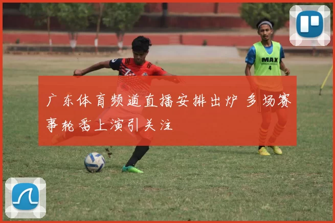 广东体育频道直播安排出炉 多场赛事轮番上演引关注