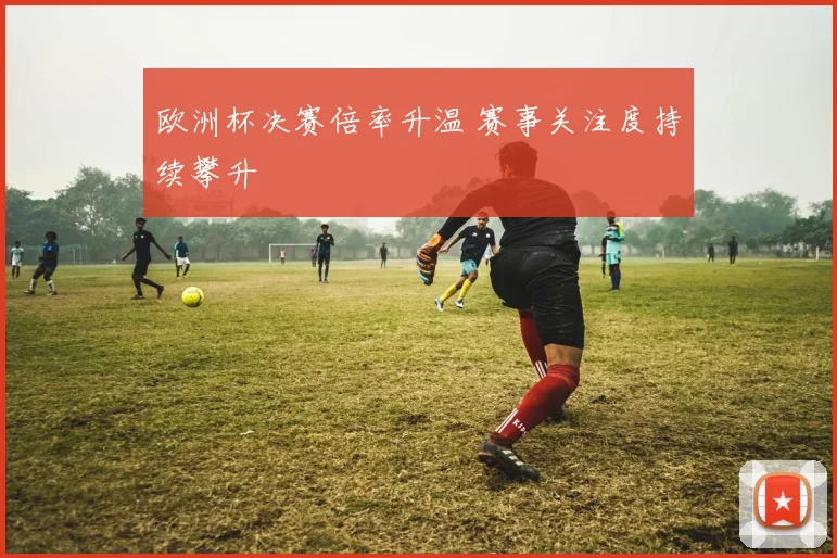 欧洲杯决赛倍率升温 赛事关注度持续攀升