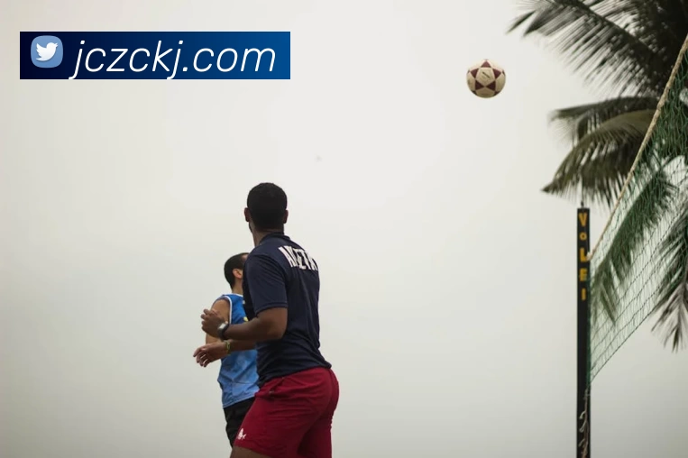 App Interface Preview